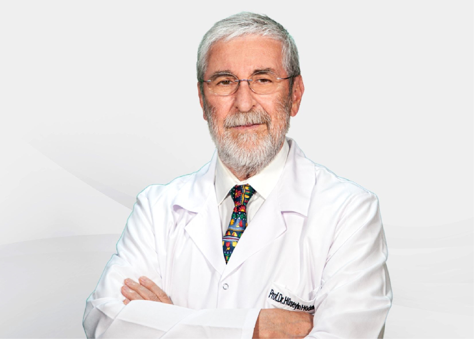 Prof. Dr. Hüdaver ALPER