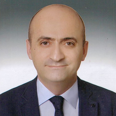 Prof. Dr. Sinan Sarı